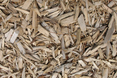 biomass boilers Balbeggie