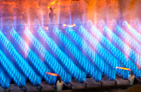 Balbeggie gas fired boilers